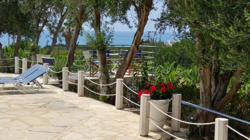Banana Sunset Villas Paphos Exterior photo