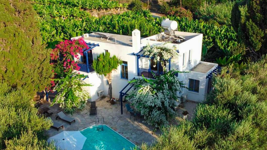 Banana Sunset Villas Paphos Exterior photo