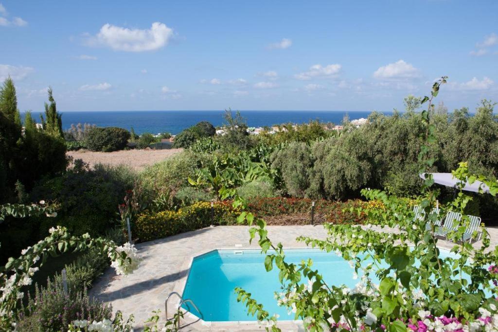 Banana Sunset Villas Paphos Exterior photo